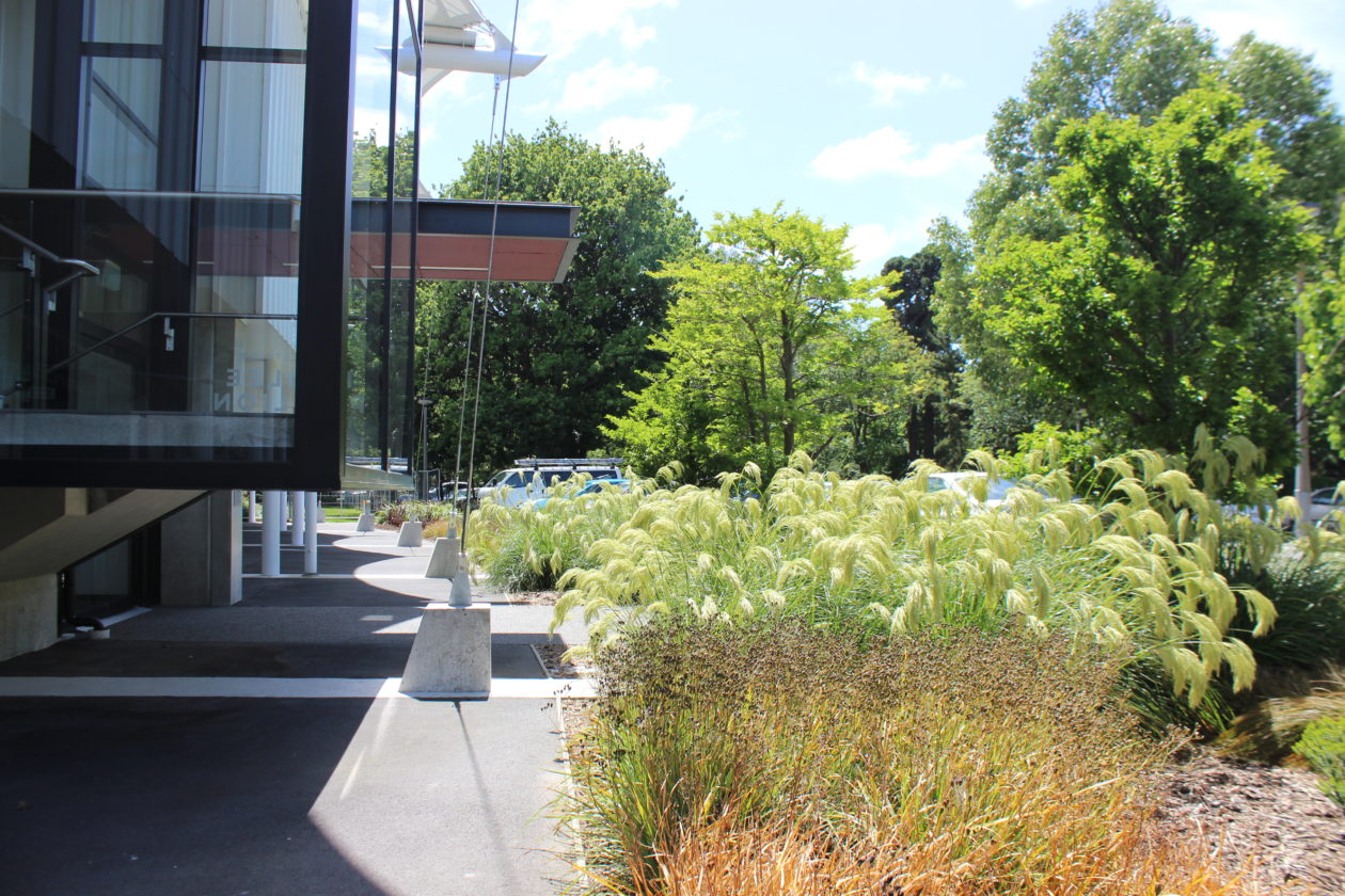 Hagley Oval Redevelopment – Landscape Designcover image.