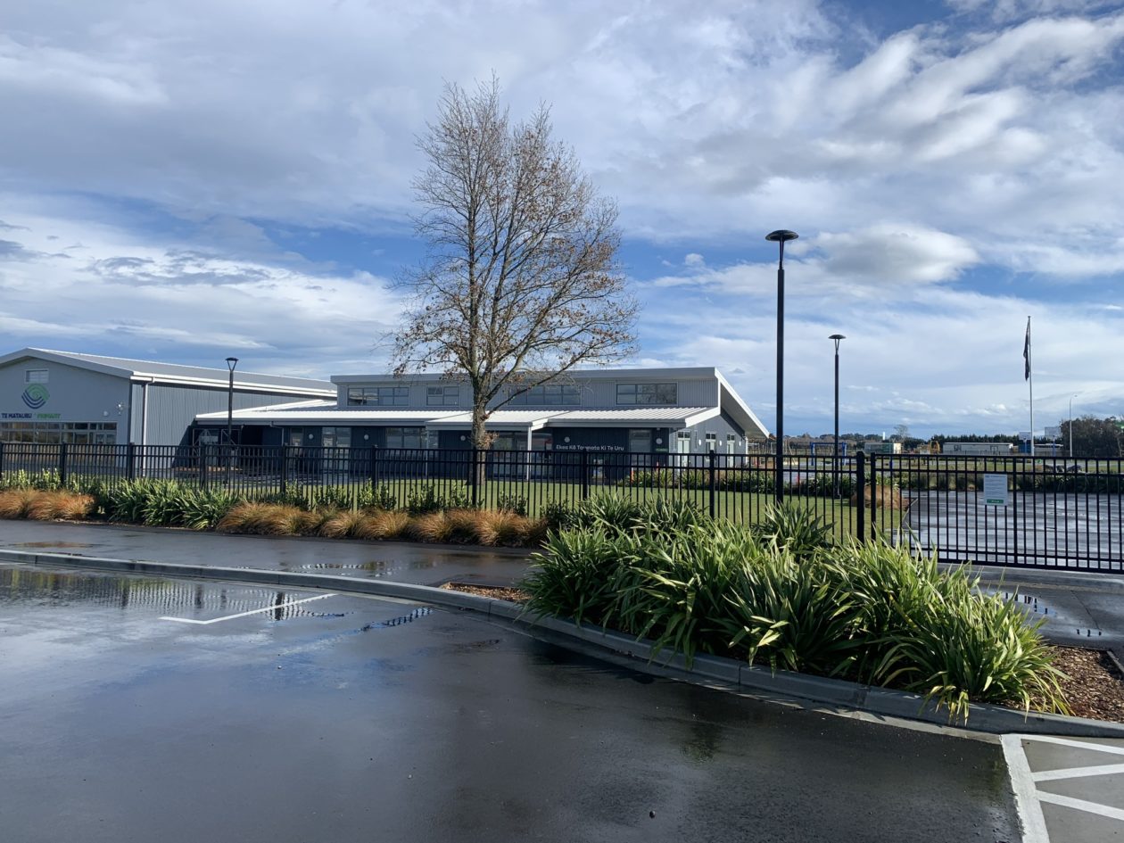 Te Matauru Primary School – Landscape Designcover image.