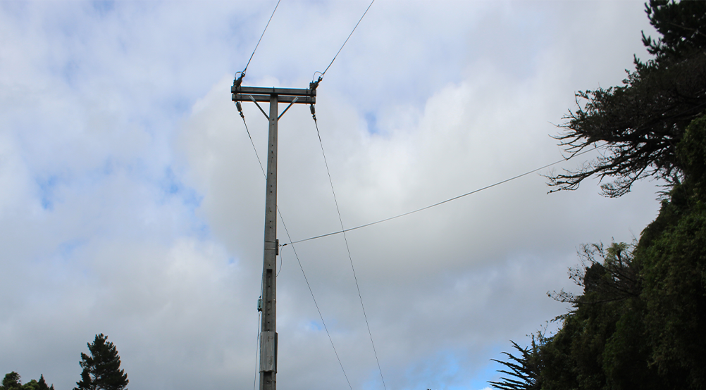 Tawa Link Upgrade Projectcover image.